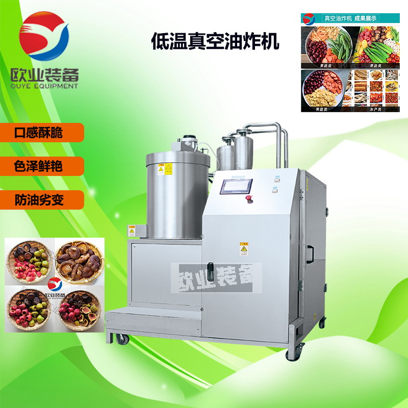 實驗室低溫真空油炸機
