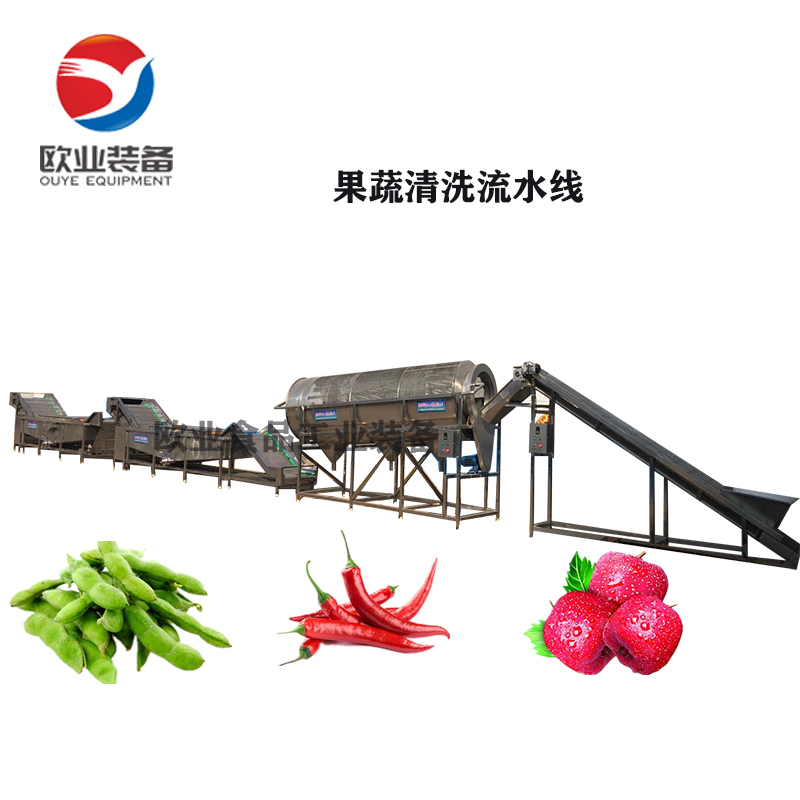 毛豆風(fēng)選清洗流水線